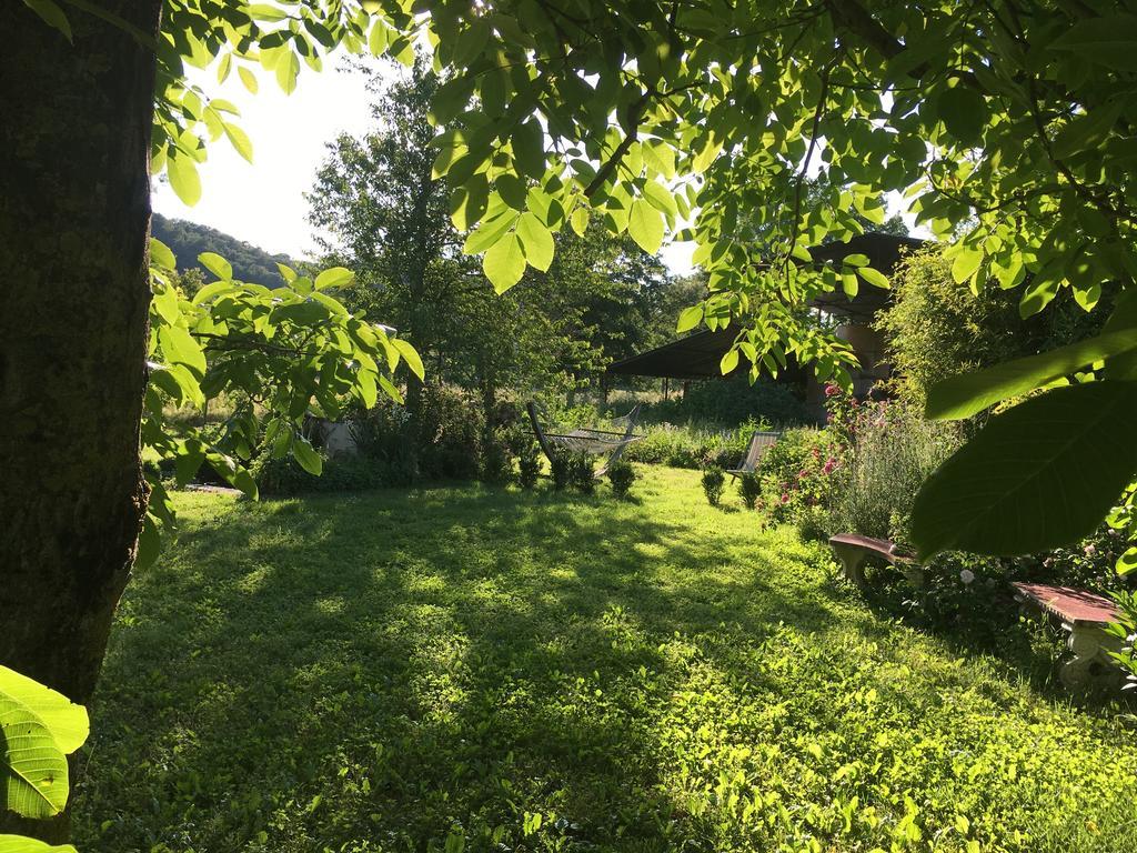 Capannacce Organic And Horse Farm Rapolano Terme