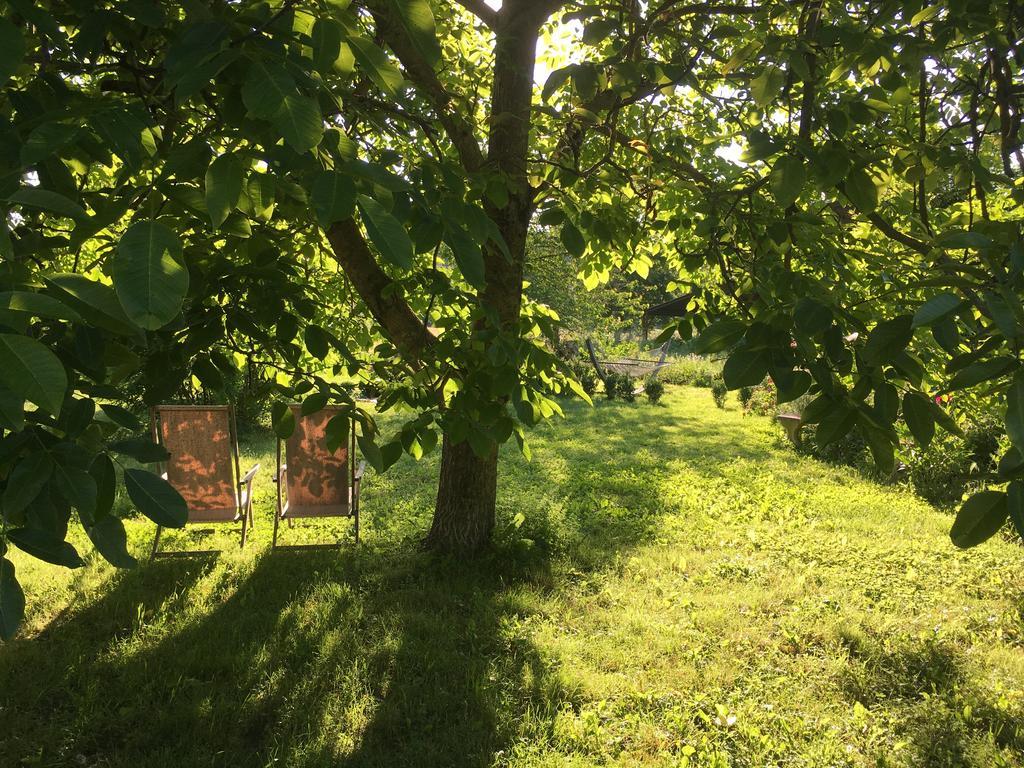 Capannacce Organic And Horse Farm Farm stay