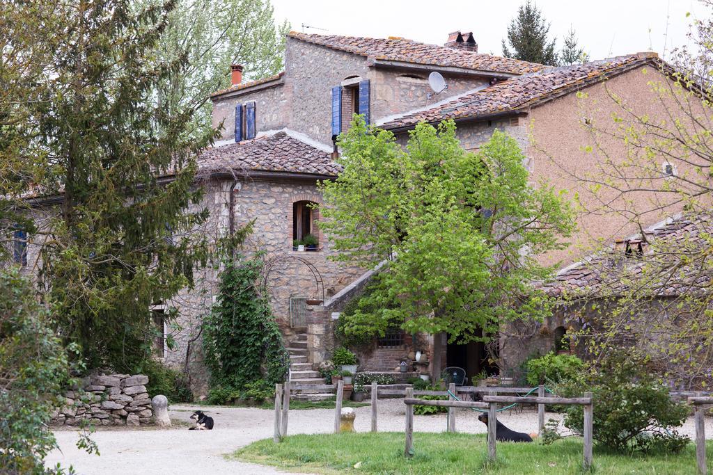 Farm stay Capannacce Organic And Horse Farm *