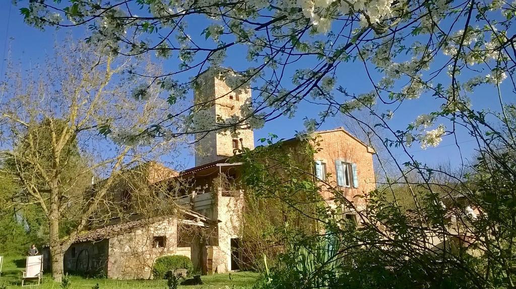 Capannacce Organic And Horse Farm Farm stay