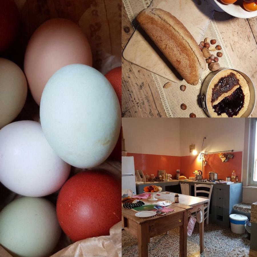 Capannacce Organic And Horse Farm Farm stay *