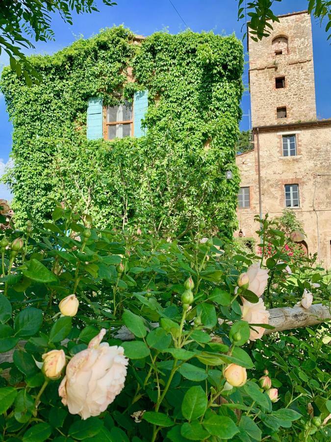Capannacce Organic And Horse Farm * Rapolano Terme