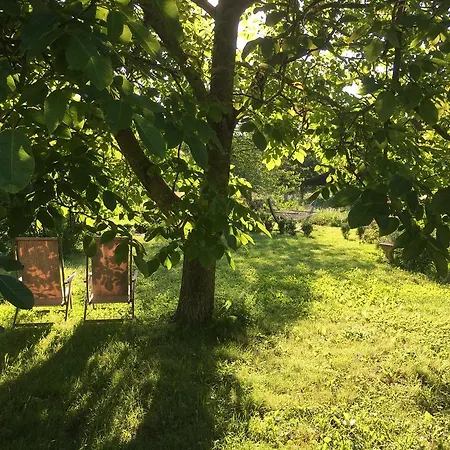 Capannacce Organic And Horse Farm Villa Rapolano Terme Exterior foto