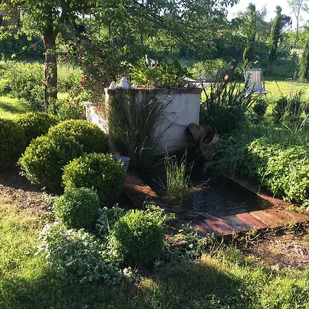 Capannacce Organic And Horse Farm Villa Rapolano Terme Exterior foto