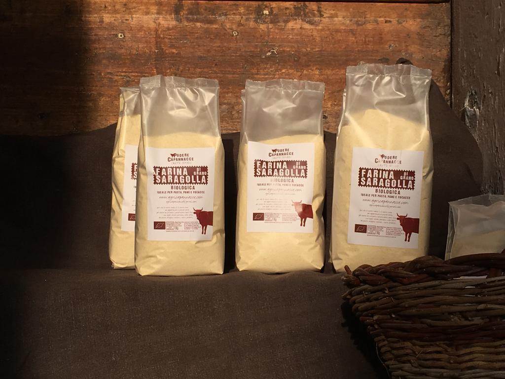 Capannacce Organic&horse Farm Bauernhof Rapolano Terme